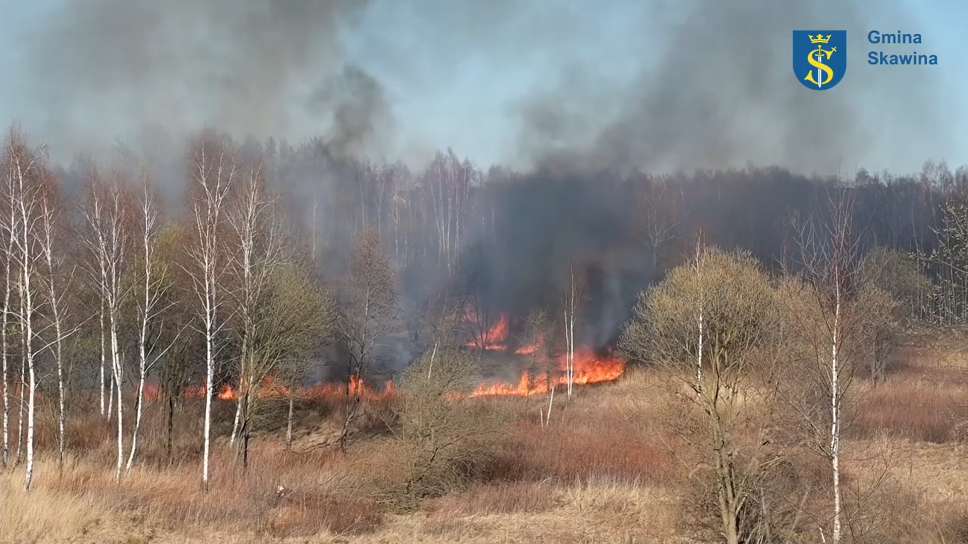 Film &amp;quot;Pożar traw - Skawina 24 marca 2022 r.&amp;quot;