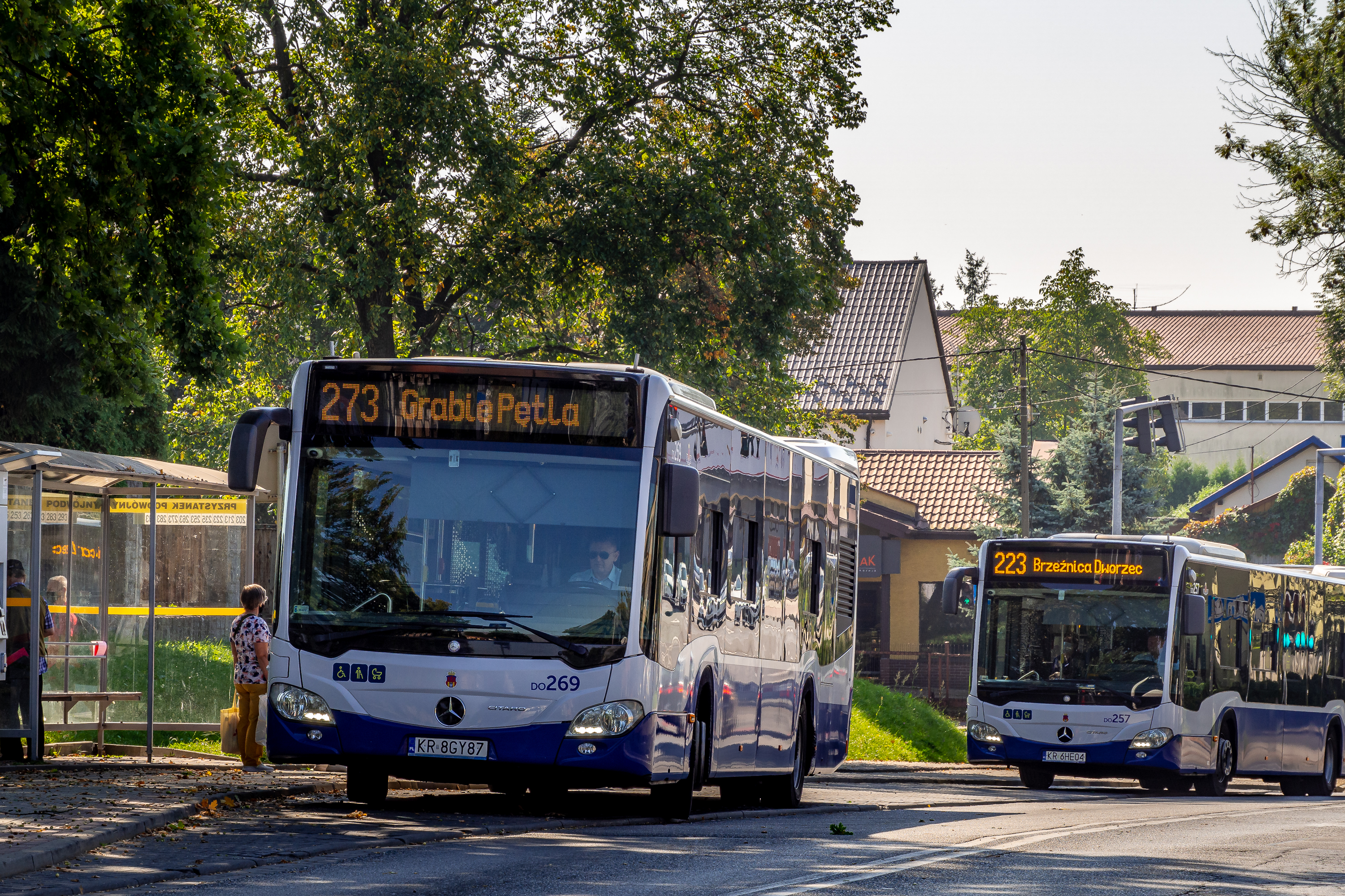 Autobus linii 273, w tle autobus linii 223