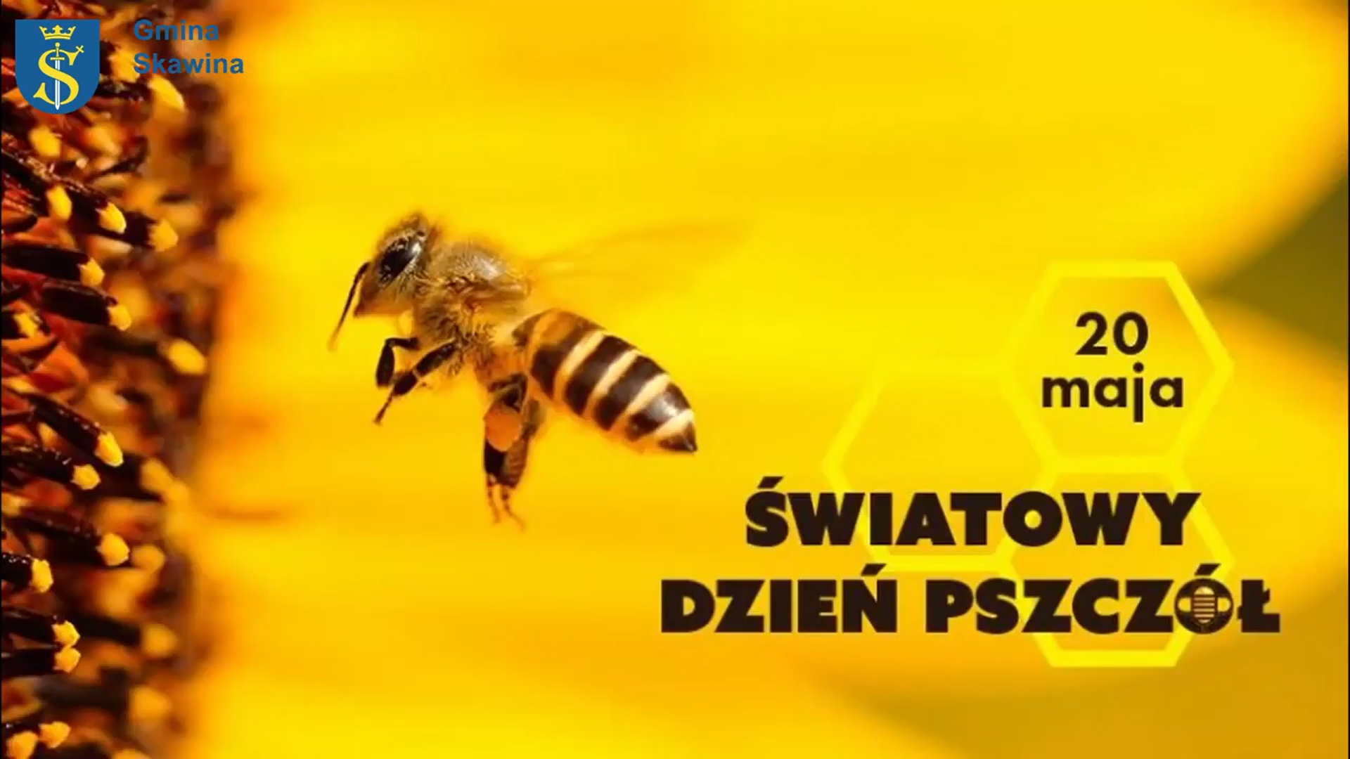 Film na temat Światowego Dnia Pszczoły 2022 w gminie Skawina