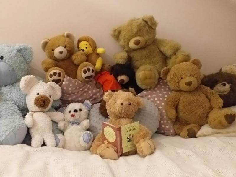 zdjęcie maskotek, misie - Dzień Pluszowego Misia w Przedszkolu nr 2
