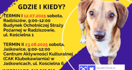 „Akcja Czip” – zabezpiecz swoje zwierzę przed zaginięciem