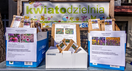 Kwiatodzielnia powraca po zimowej przerwie