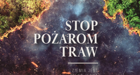 Wypalanie traw jest czynem zabronionym i powoduje degradację środowiska !!!