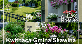 Kwitnąca gmina Skawina 2024 – konkurs na najpiękniejszy ogródek!