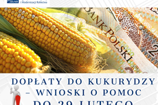 Dopłaty do kukurydzy – wnioski o pomoc do 29 lutego