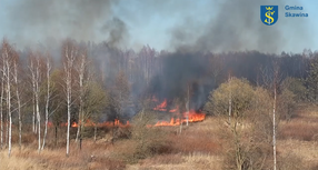 Pożar traw - Skawina 24 marca 2022 r.