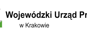 Projekt "Wróć z POWERem"