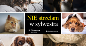 NIE strzelam w sylwestra!