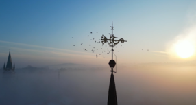 Mglisty poranek nad Skawiną