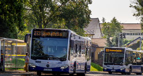 Dla uczniów podstawówek komunikacja bezpłatna cały rok