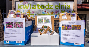 Kwiatodzielnia powraca po zimowej przerwie