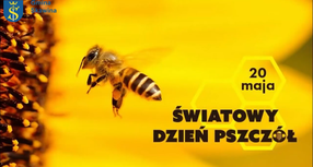 Światowy Dzień Pszczoły