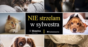 NIE strzelaj w Sylwestra!