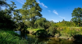 Obszary Natura 2000 w gminie Skawina
