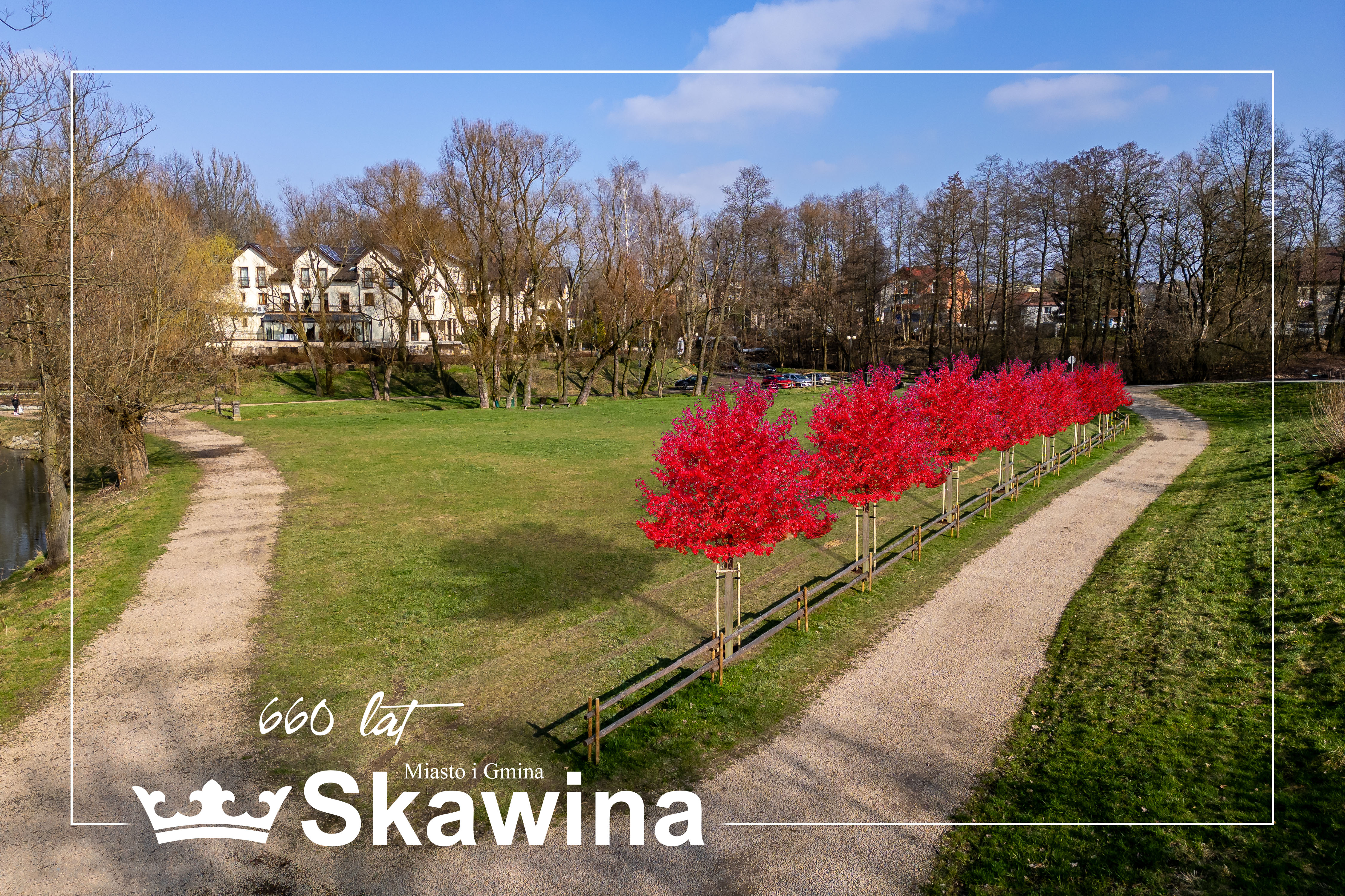 Zdjęcie łąki z czerwonymi klonami 
